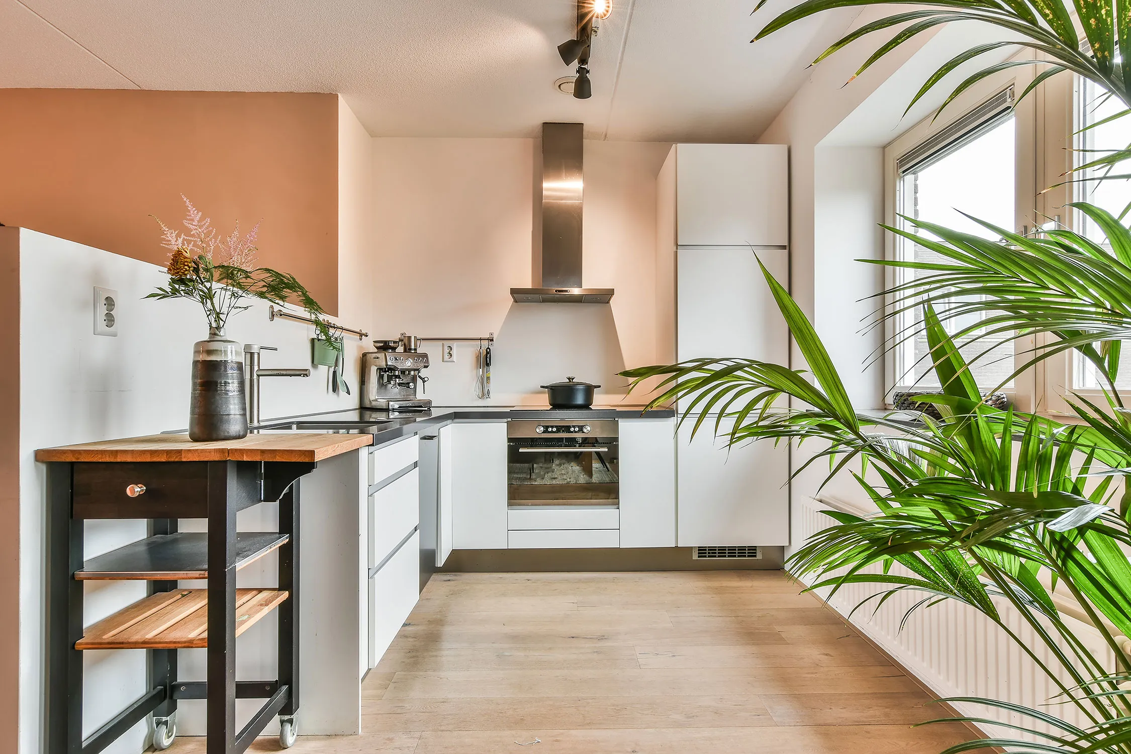 A kitchen with a potted plant in the corner.